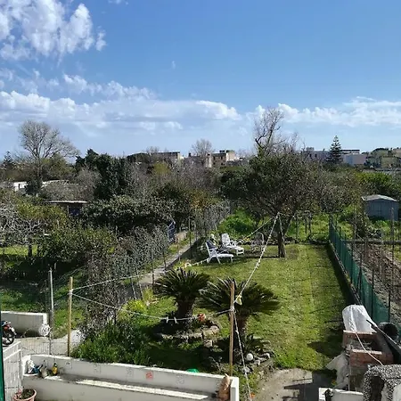Green Island Apartment Procida Buitenkant foto