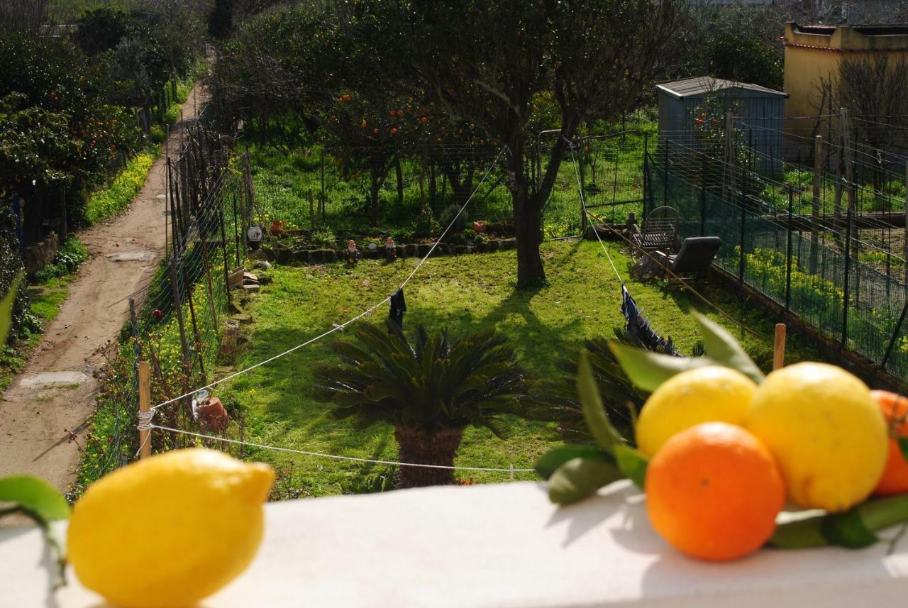 Holiday home Island Procida